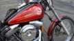 Harley-Davidson 1340 Softail Custom 1992 - rEVOlution