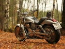 Harley-Davidson VRSCA V-Rod 2003 - Мотик