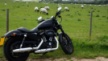 Harley-Davidson XL883N Sportster Iron 883 2010 - n/a