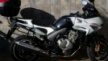 Honda CBF600 2012 - Зебра