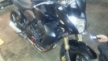 Honda CB600F Hornet 2010 - злой мух
