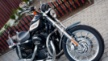 Harley-Davidson 1200 Sportster Custom 2006 - Харли