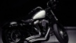 Harley-Davidson XL 1200X Sportster Forty-Eight 2011 - Бобёр