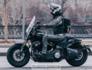 Harley-Davidson FXFB Fat Bob 2021 - Толстый
