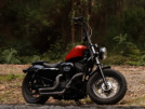 Harley-Davidson XL 1200X Sportster Forty-Eight 2011 - Хельга