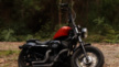 Harley-Davidson XL 1200X Sportster Forty-Eight 2011 - Хельга