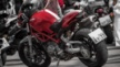 Ducati Monster 1000 S2R 2007 - Monster