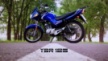 Yamaha YBR125 2013 - freedom