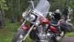 Honda VTX1300C 2004 - Мотоцикл