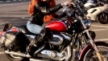 Harley-Davidson 1200 Sportster Custom 2008 - шпрот