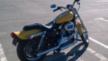 Harley-Davidson 1200 Sportster Custom 2007 - Yell!