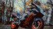 Honda CBR1100XX Super Blackbird 2001 - Дрозд