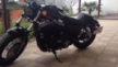 Harley-Davidson XL 1200X Sportster Forty-Eight 2012 - Волк