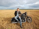 Harley-Davidson Sportster XL883N Iron 833 2013 - ***** *****