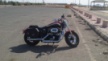 Harley-Davidson Sportster 1200 Custom 2013 - Harley