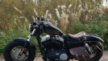 Harley-Davidson 1200 Sportster 2012 - ...