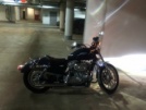 Harley-Davidson XL883L Sportster 883 Low 2009 - Мелкий 883