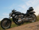 Harley-Davidson V-Rod VRSCB 2004 - умница