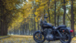 Harley-Davidson XL 883 L Sportster 883 Low 2016 - Шпрот