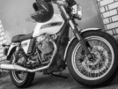 Moto Guzzi V7 Classic 2009 - Classic