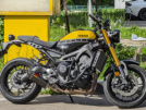 Yamaha XSR900 2016 - bee