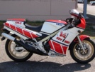Yamaha RD500 1984 - PULSAR