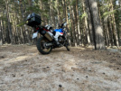 Honda CRF1000D Africa Twin 2019 - Африканка