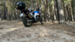 Honda CRF1000D Africa Twin 2019 - Африканка