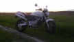 Honda CB600F Hornet 2002 - хоря