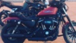 Harley-Davidson Sportster XL 883N Iron 883 2014 - Johnny