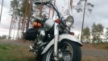 Honda VT750C Shadow 2000 - Мотоцикл