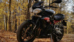 Triumph Street Triple R 2014 - Черныш