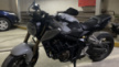 Honda CB650R 2021 - Пчёл