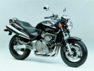 Honda CB600F Hornet 2001 - хорнет