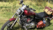 Harley-Davidson 1200 Sportster Custom 2005 - Харлей