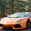 Artem3453